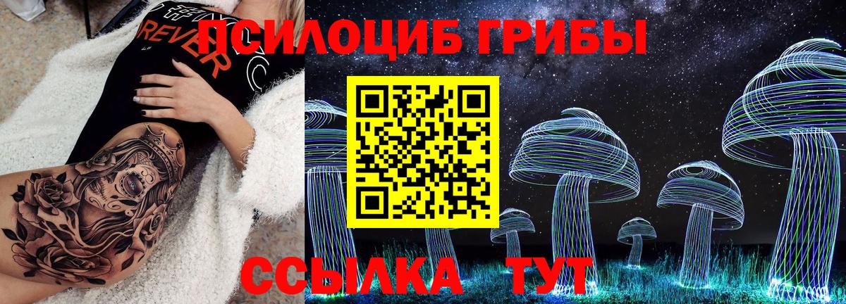 Воскресенск  Псилоцибиновые грибы Cubensis  Псилоцибиновые грибы Cubensis  Вход с VPN 