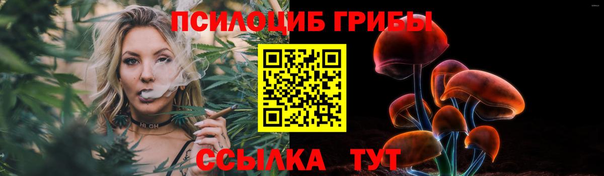 Псилоцибиновые грибы мицелий Воскресенск